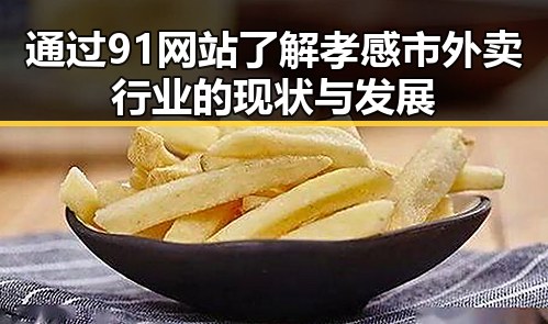 通过91网站了解孝感市外卖行业的现状与发展