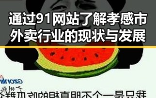 通过91网站了解孝感市外卖行业的现状与发展