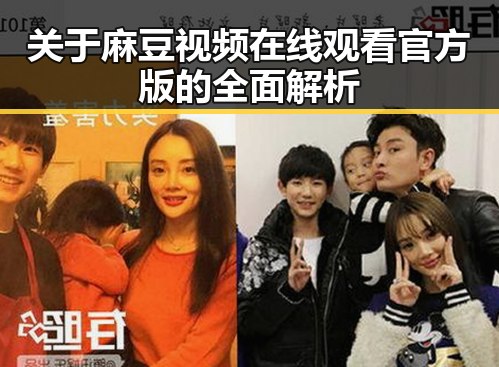关于麻豆视频在线观看官方版的全面解析