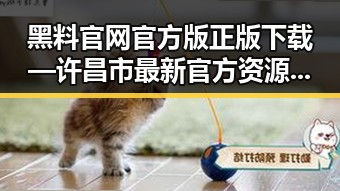 黑料 官网官方版正版下载—许昌市最新官方资源介绍