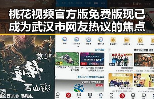 桃花视频官方版免费版现已成为武汉市网友热议的焦点