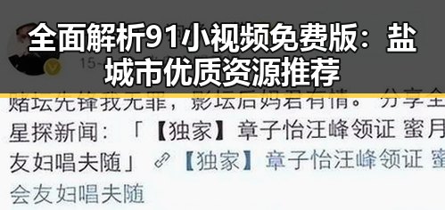 全面解析91小视频免费版：盐城市优质资源推荐