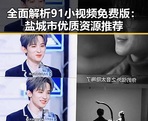 全面解析91小视频免费版：盐城市优质资源推荐