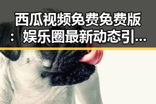 西瓜视频免费免费版:娱乐圈最新动态引发热议
