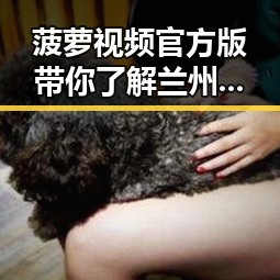 菠萝视频官方版带你了解兰州市的最新娱乐圈动态