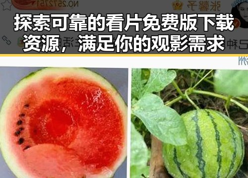 探索可靠的看片免费版下载资源，满足你的观影需求
