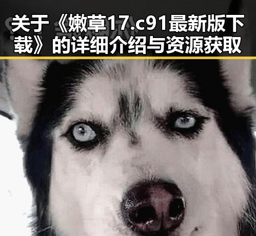 关于《嫩草17.c 91最新版下载》的详细介绍与资源获取