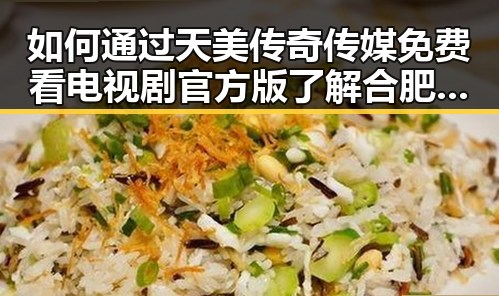 如何通过天美传奇传媒免费看电视剧官方版了解合肥市最新娱乐动态