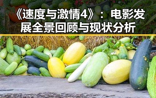 《速度与激情4》:电影发展全景回顾与现状分析