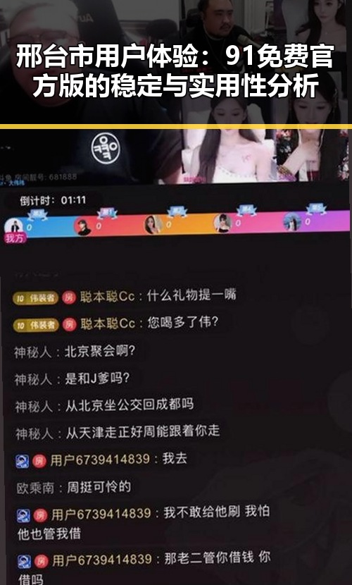 邢台市用户体验:91免费官方版的稳定与实用性分析