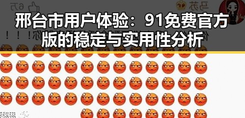 邢台市用户体验:91免费官方版的稳定与实用性分析