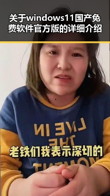 关于windows11国产免费软件官方版的详细介绍