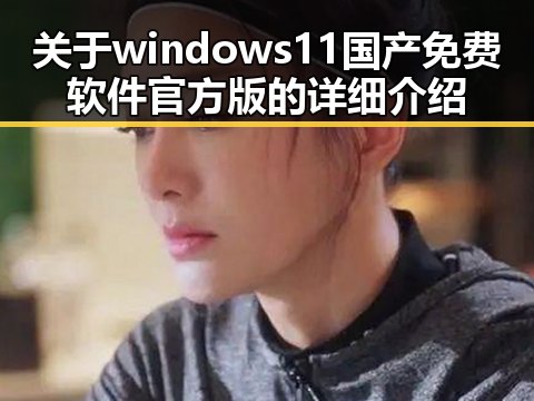 关于windows11国产免费软件官方版的详细介绍