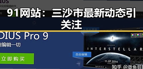 91网站：三沙市最新动态引关注