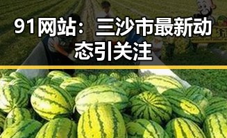 91网站：三沙市最新动态引关注