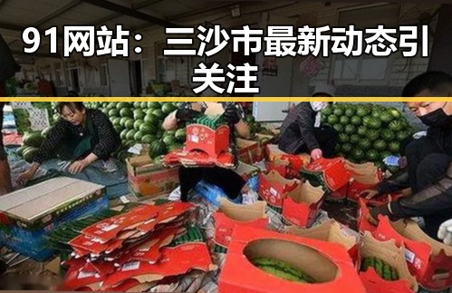 91网站：三沙市最新动态引关注