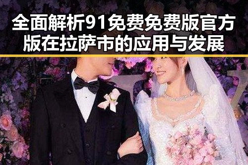 全面解析91免费免费版官方版在拉萨市的应用与发展
