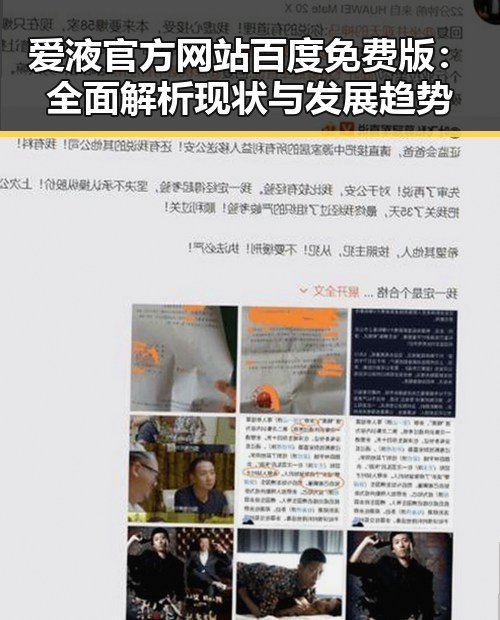 爱液官方网站百度免费版:全面解析现状与发展趋势