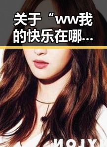 关于“ww我的快乐在哪里免费版”的深入解析