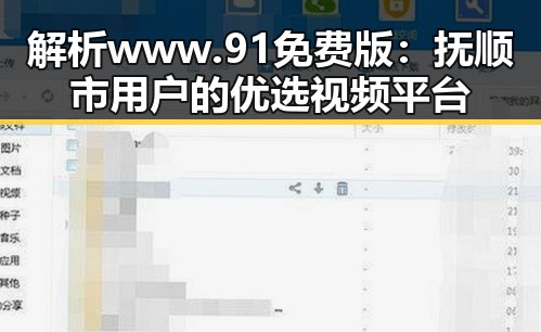 解析www.91免费版:抚顺市用户的优选视频平台