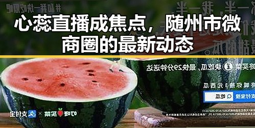 心蕊直播成焦点，随州市微商圈的最新动态