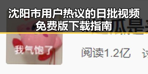 沈阳市用户热议的日批视频免费版下载指南