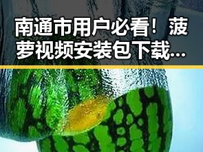 南通市用户必看!菠萝视频安装包下载指南