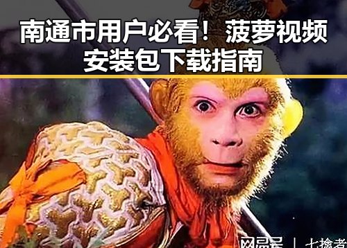 南通市用户必看!菠萝视频安装包下载指南