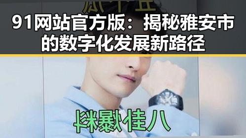 91网站官方版：揭秘雅安市的数字化发展新路径