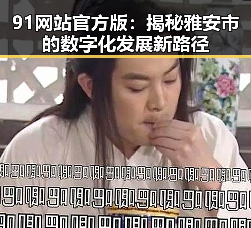 91网站官方版:揭秘雅安市的数字化发展新路径