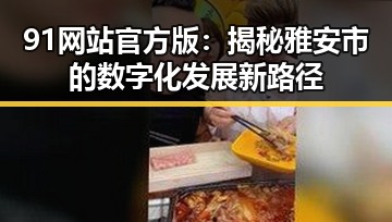 91网站官方版:揭秘雅安市的数字化发展新路径