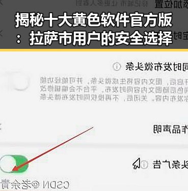 揭秘十大黄色软件官方版:拉萨市用户的安全选择