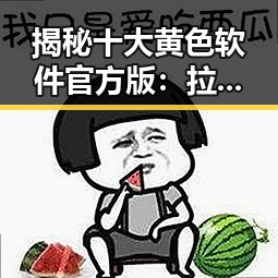 揭秘十大黄色软件官方版:拉萨市用户的安全选择