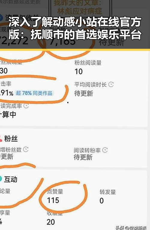 深入了解动感小站在线官方版:抚顺市的首选娱乐平台