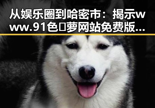 从娱乐圈到哈密市：揭示www.91色😍萝网站免费版官方版的多重反差