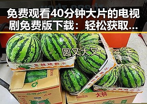 免费观看40分钟大片的电视剧免费版下载:轻松获取最新剧集