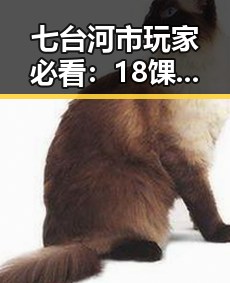 七台河市玩家必看：18馃埐免费版下载攻略详解