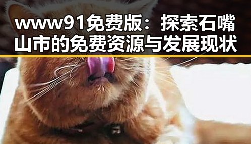 www91免费版：探索石嘴山市的免费资源与发展现状
