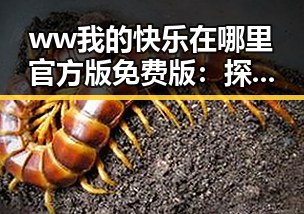 ww我的快乐在哪里官方版免费版：探索宁德市的娱乐与生活新体验