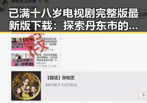 已满十八岁电视剧完整版最新版下载:探索丹东市的最新资源