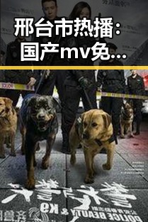 邢台市热播：国产mv免费观看高清电视剧在线观看官方版全新体验