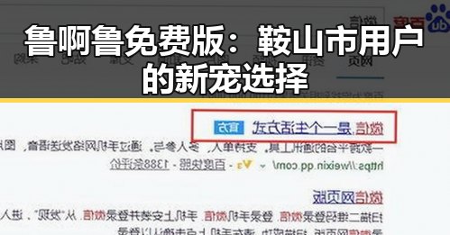 鲁啊鲁免费版：鞍山市用户的新宠选择
