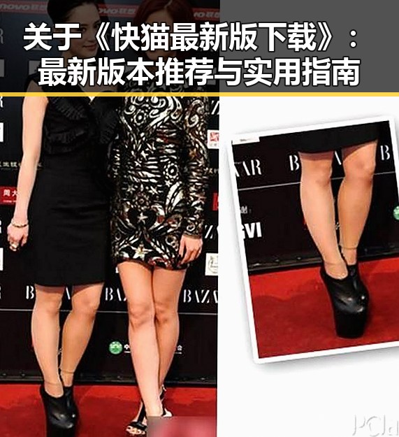 关于《快猫最新版下载》：最新版本推荐与实用指南