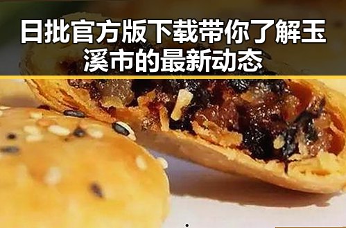 日批官方版下载带你了解玉溪市的最新动态