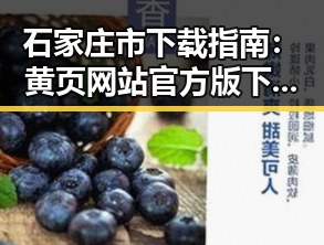石家庄市下载指南：黄页网站官方版下载全攻略