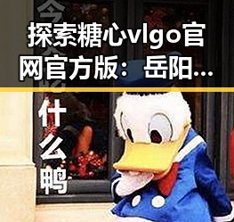 探索糖心vlgo官网官方版:岳阳市用户的首选平台