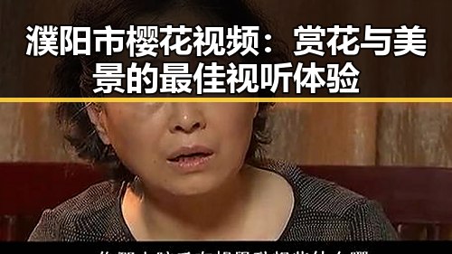 濮阳市樱花视频：赏花与美景的最佳视听体验