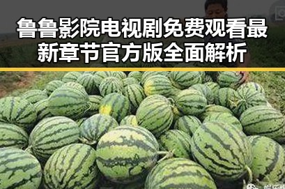 鲁鲁影院电视剧免费观看最新章节官方版全面解析