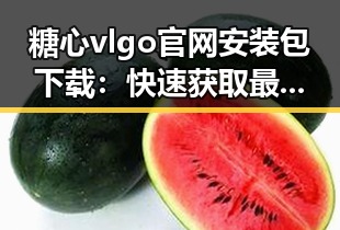 糖心vlgo官网安装包下载：快速获取最新版本指南