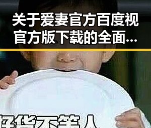 关于爱妻官方百度视官方版下载的全面介绍与实用指南